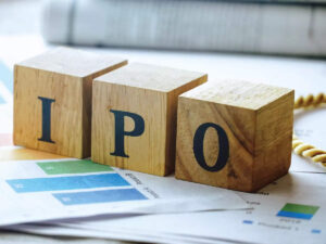 IPO, Initial Public Offering, Investors, Investor Interest, RK Swamy IPO, JG Chemicals IPO, Gopal Namkeen IPO, VR Infraspace IPO, Sona Machinery IPO, Shree Karni Fabcom IPO, Koura Fine Diamond Jewelry IPO, Pune E-Stock Broking IPO